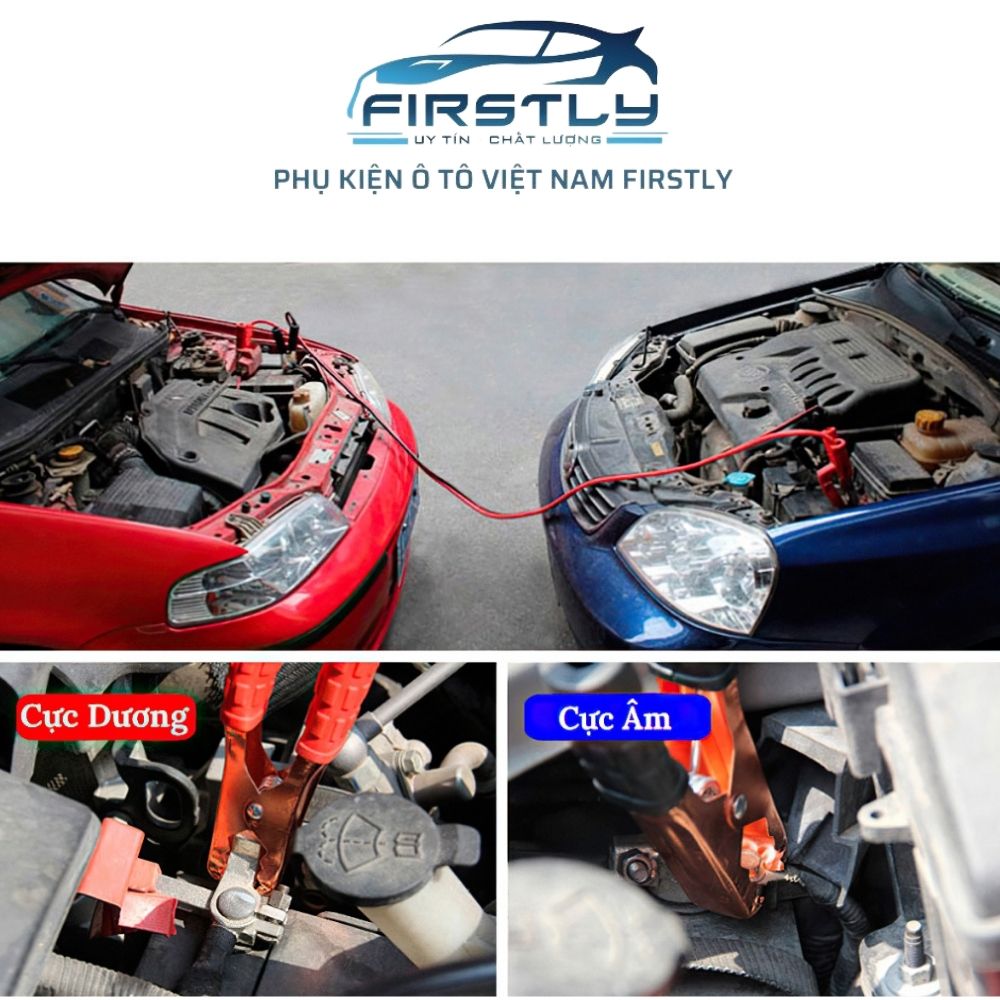 Dây câu bình - Hình ảnh 6