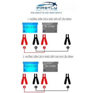 Dây câu bình - Hình ảnh 8